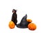 Halloween composition. Black cat with witch hat sitting next to pumpkin on white background