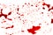 Halloween concept : Blood splatter on white background .