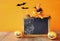 Halloween concept. Cute pumpkins next to blank blackboard
