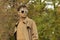 Halloween concept: portrait of stylish teen boy in skeleton glasses, warm brown coat (jacket)