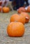 Halloween concept with some big pumpkins and flowers displayed outdoor in the street