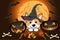Halloween corgi dog dressed as a witch, wearing a hat with black and orange pumpkins and lollipops, candy on a stick