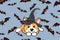 Halloween corgi puppy dressed as a witch wearing a hat Pet lovers theme vector cartoon illustration.