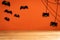 Halloween crafts, bat, spider and cobweb on orange background