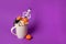 Halloween cup of coffee, decor pumpkins, spider and skeleton on purple background, copy space