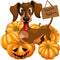 Halloween Dachshund Tricks or Treats Cute Cartoon Character Vector Illustration