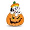 Halloween. Dalmatian dog sitting in a pumpkin. Cartoon on a whit