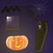 Halloween dark room with pumpkin, bats, spider and a coffin