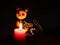 Halloween dead cat katrina pan muerto candles velas white red darkness