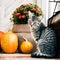 Halloween decorated front door with various size and shape pumpkins. Cat on Front Porch decorated for Thanksgiving.