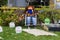 Halloween Decoration