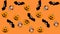 Halloween decoration with birds and pumpkins on an orange and green background - animation