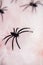 Halloween, decoration, and the concept of terror - black toy spiders on the artificial spider`s web