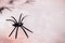 Halloween, decoration, and the concept of terror - black toy spiders on the artificial spider`s web