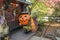 Halloween decoration with pumkins