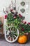 Halloween decoration - pumpkin, Scarecrow, old wooden wheel near the door