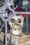 Halloween decoration - Skull with flowers around its head and lighted eyes sits inside a glass case on a Trick or Treat book - sel