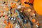 Halloween decorations and candies wooden boards