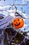 Halloween decorations orange Jack O Lantern and spider webs on tree branches