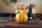 Halloween decorations, pumpkins, mortar, healing plants, witch hat and dry branches on sunset background