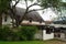 Halloween decorations on the restaurant roof in the Colonial Quarter of St. Augusti