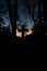 Halloween design background. Graveyard at night. Old Spooky cemetery, silhouette of crosses, minimalistic, vertical photo