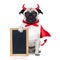 Halloween devil dog