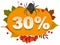 Halloween discount coupon of 30 percent. Halloween pumpkin sale