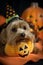 Halloween Dog