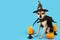 Halloween Dog,funny little puppy in witch hat on blue background with halloween decoration,pet food,veterinary clinics,concept of