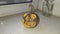 Halloween figurine of a small carved pumpkin