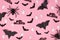 Halloween flat lay with bats, spiders, Happy Halloween text and cute ghosts on pink background