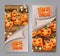 Halloween flyer set. Trick or treat banner design. Pumpkin heads on wooden plank board fence covered by pilling off paper.