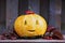 Halloween funny pumpkin with a smile in autumn leaves