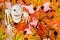 Halloween Ghost-autumn maple leaf background. Halloween, the main celebration of the supernatural, the custom to frighten and