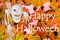 Halloween Ghost-autumn maple leaf background. The inscription Halloween, the main celebration of the supernatural, the custom to