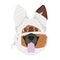 Halloween greeting card. German Shepherd dog dressed as a mummy