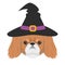 Halloween greeting card. Pekingese dog dressed as a witch with black hat