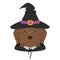 Halloween greeting card. Spanish Water dog dressed as a witch or a wizard with glasses, black hat and black robe