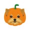 Halloween greeting card. Yorkshire Terrier dog dressed as a pumpkin