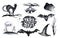 Halloween hand drawing black white graphic set icon, drawn Halloween symbols pumpkin, broom, bat, witches. Horror elements