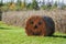 Halloween Hay Bale