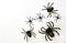 Halloween holiday concept group of spider walk on spider web on