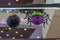 Halloween holiday decorative items- spooky spider and bat lanterns