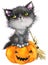 Halloween holiday little cat witch and pumpkin. Watercolor illustration