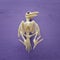 Halloween holiday minimal top view image of bird skeleton over p