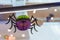 Halloween holiday ornament spooky paper made spider lantern