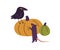 Halloween holiday pumpkins, raven and mouse. Cute funny and creepy animal characters and orange squashes for Helloween