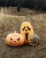 Halloween holiday symbol. Three carved jack-o-lantern pumpkins on the grass in the field.