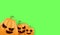 Halloween Horizontal web Banner or poster with Halloween scary pumpkins isolated on green screen background. Funky kids